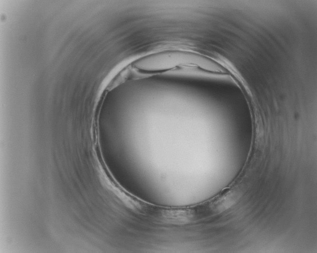 X0000053091339200508012022