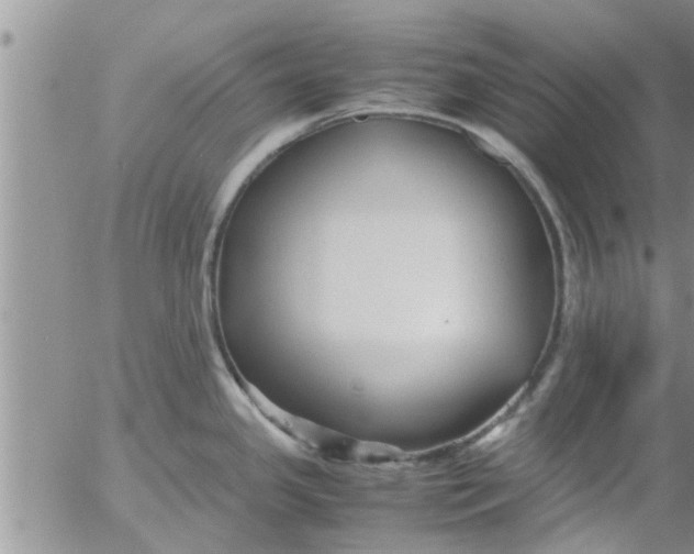 X0000053091341200508012022