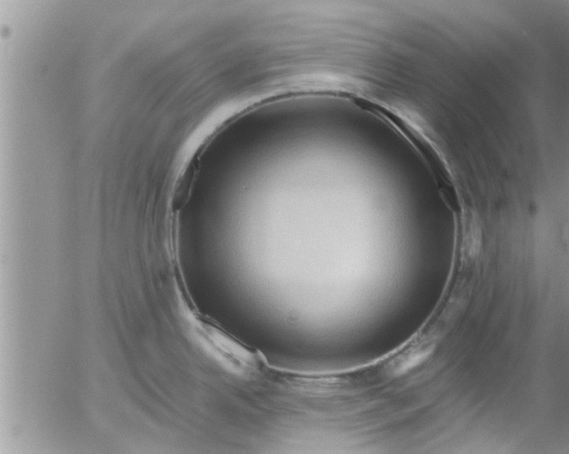 X0000053091342200508012022