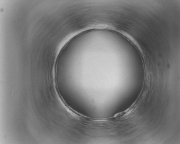 X0000053091343200508012022