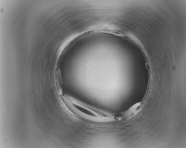 X0000053091344200508012022