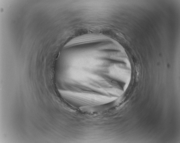 X0000053091345200508012022