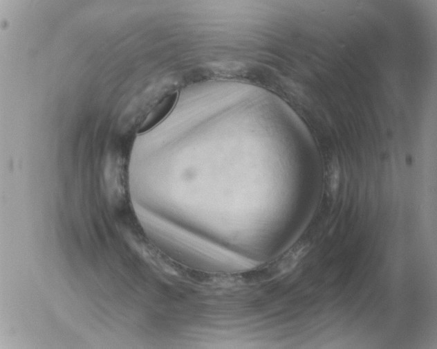 X0000053091346200508012022