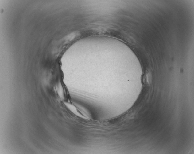 X0000053091347200508012022