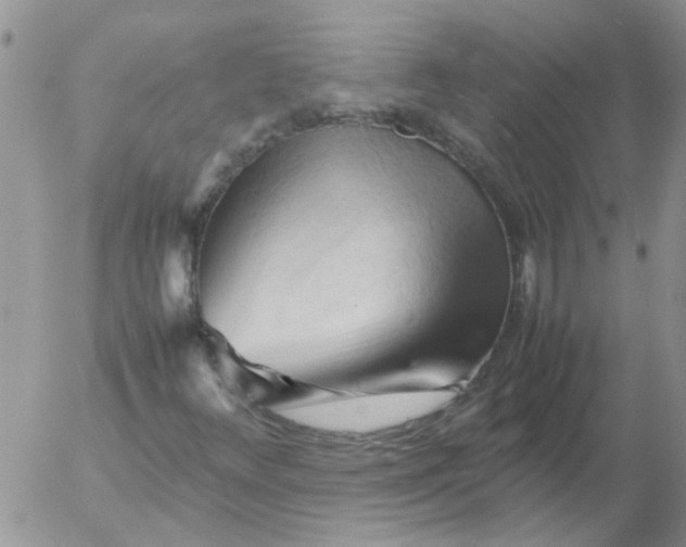 X0000053091348200508012022