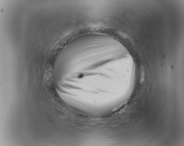 X0000053091349200508012021