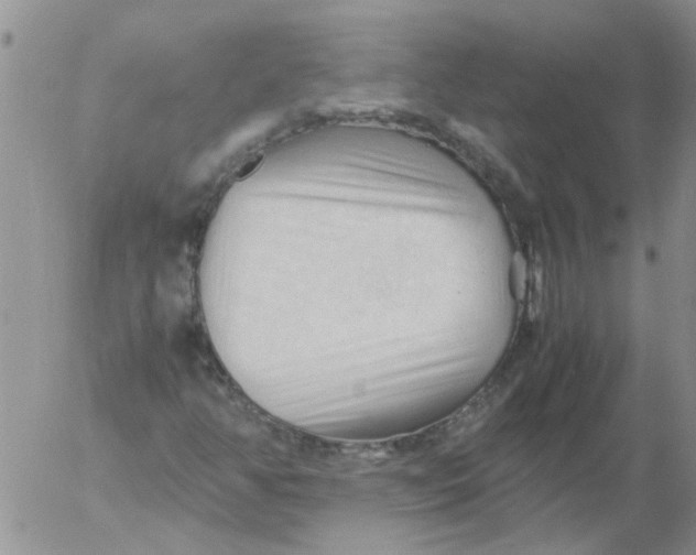 X0000053091350200508012021