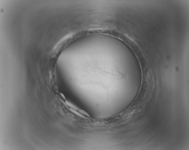 X0000053091351200508012021