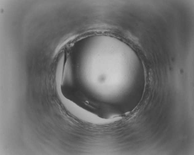 X0000053091352200508012021