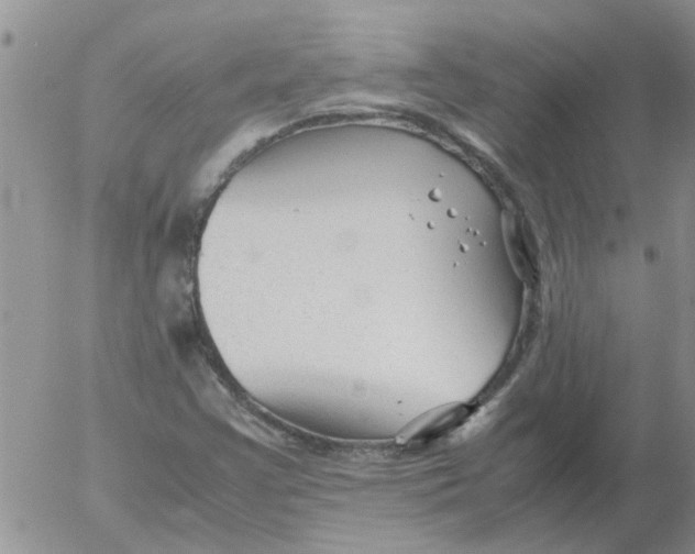 X0000053091355200508012021