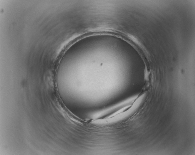 X0000053091356200508012021