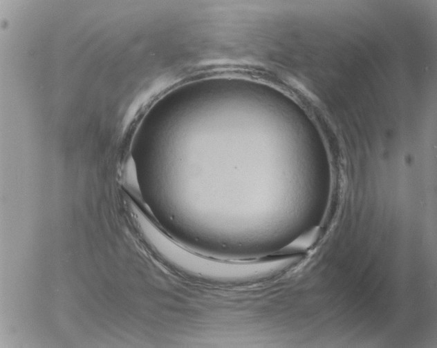 X0000053091357200508012021