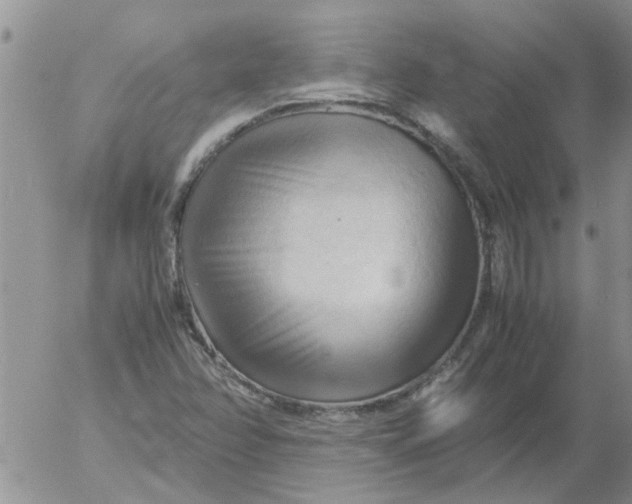 X0000053091358200508012021