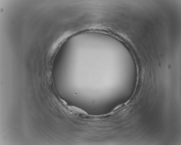 X0000053091359200508012021