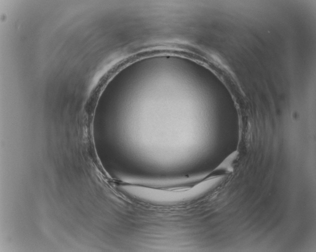 X0000053091360200508012021