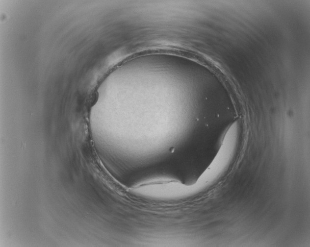 X0000053091363200508012021