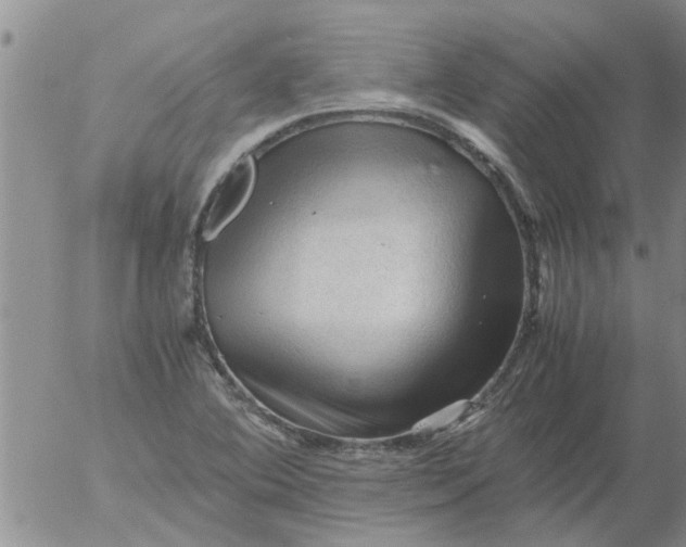 X0000053091364200508012021