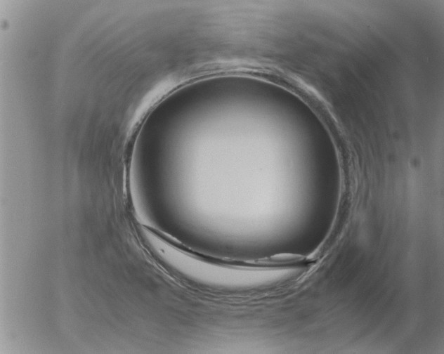 X0000053091365200508012021