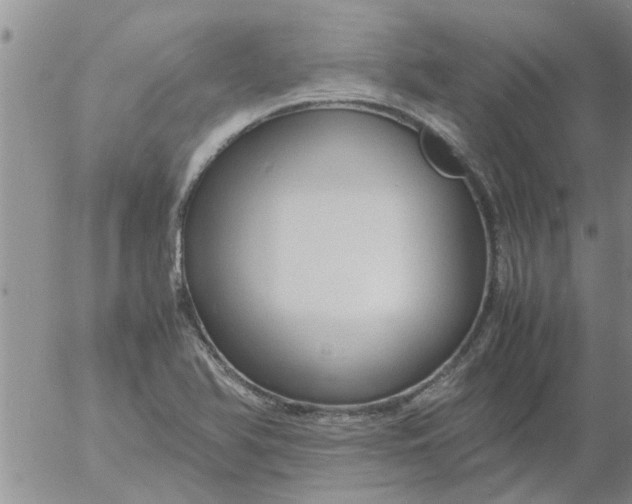 X0000053091366200508012021