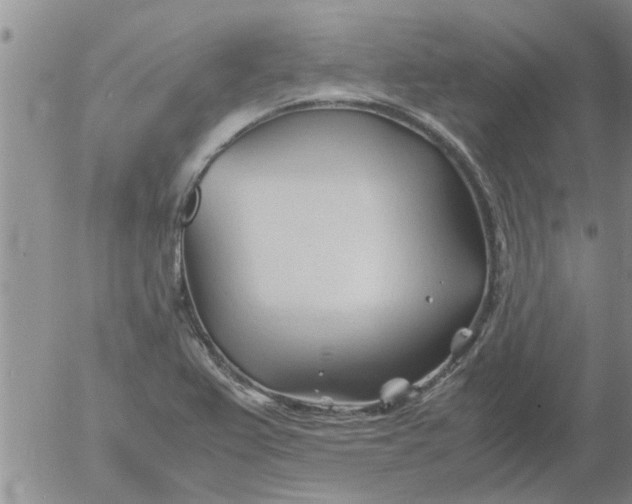 X0000053091367200508012021