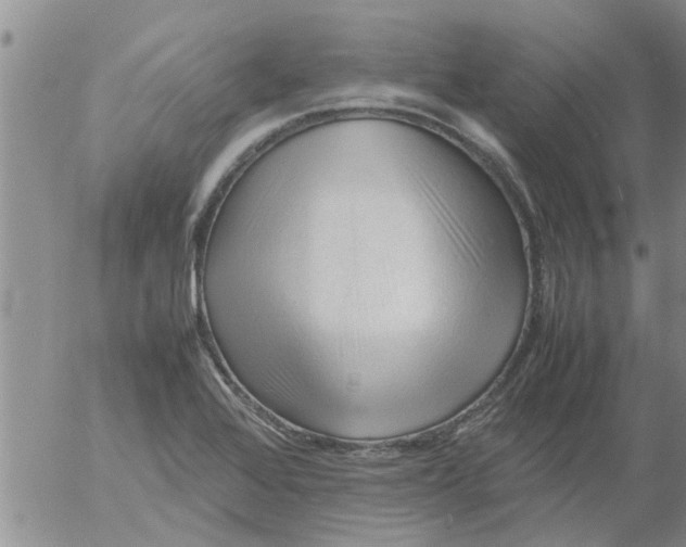 X0000053091368200508012021