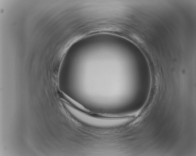 X0000053091369200508012021