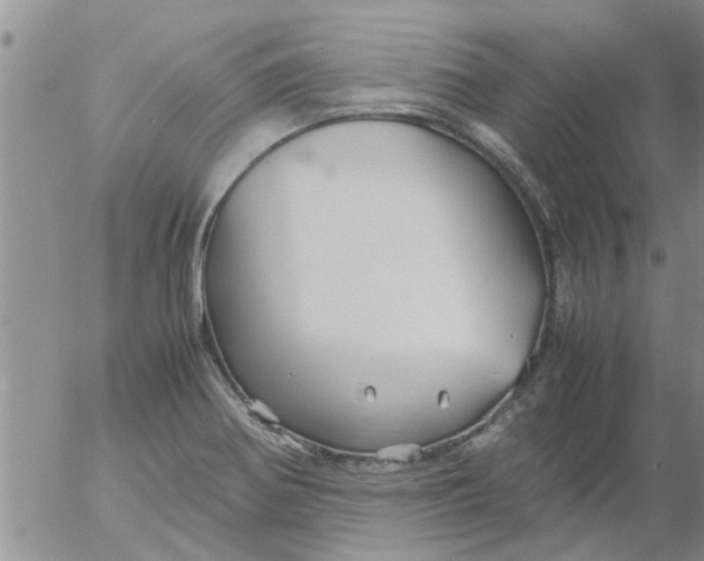 X0000053091370200508012021