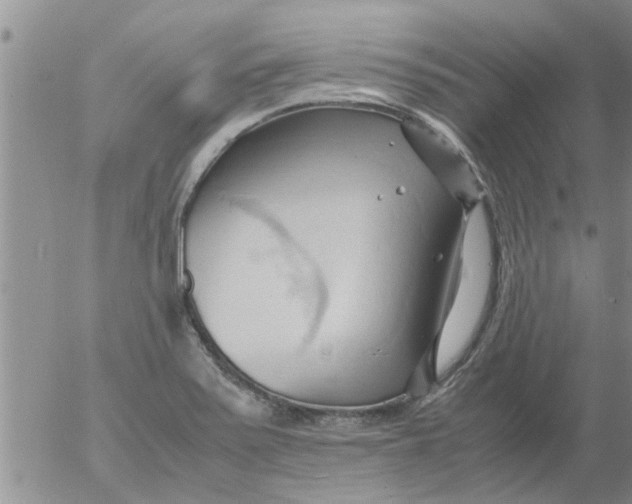 X0000053091371200508012021