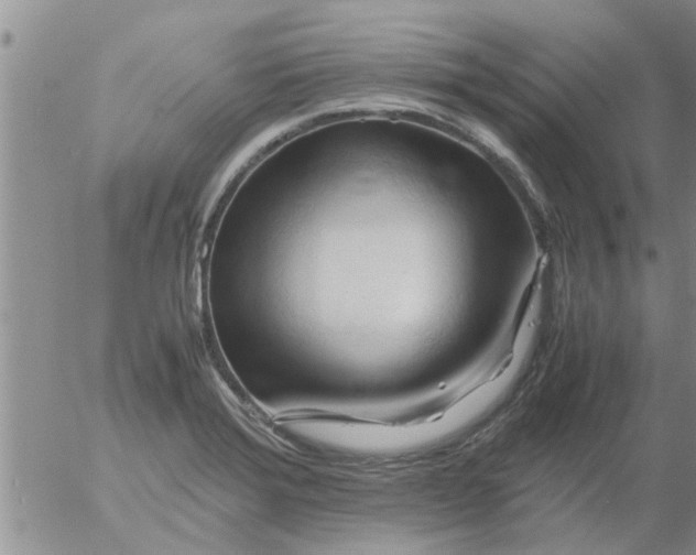 X0000053091372200508012021