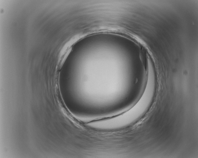 X0000053091373200508012021