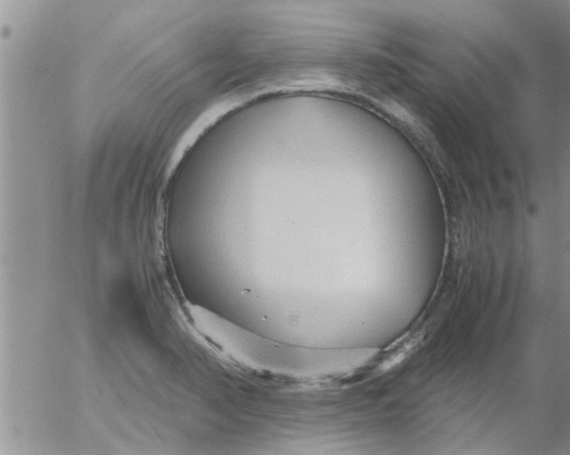 X0000053091374200508012021