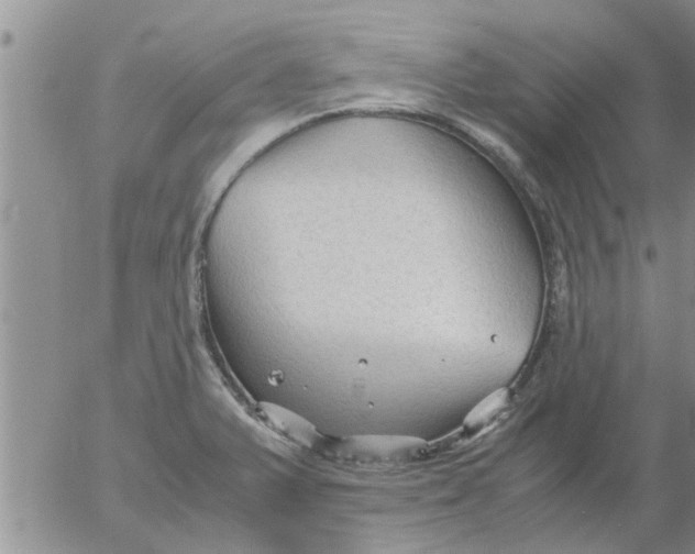 X0000053091375200508012021