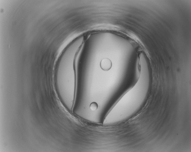 X0000053091376200508012021