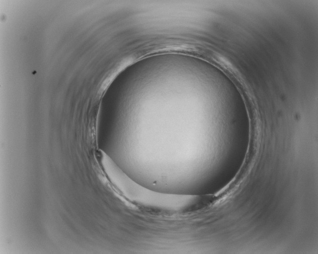 X0000053091377200508012021