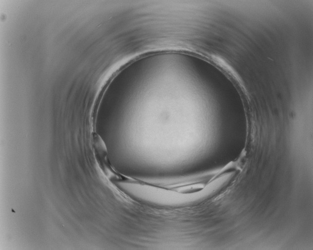 X0000053091380200508012021