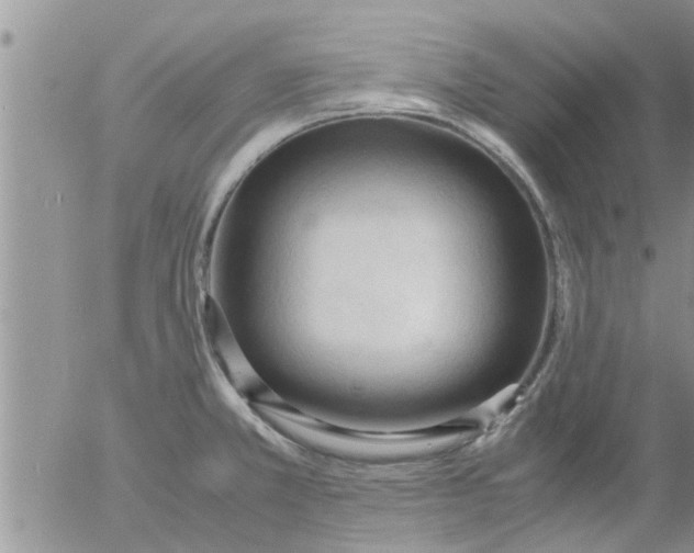 X0000053091381200508012021