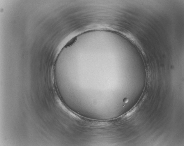 X0000053091382200508012021