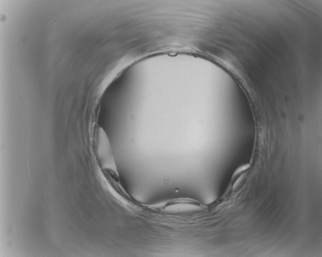 X0000053091383200508012021