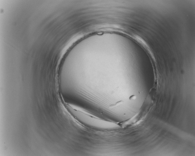 X0000053091384200508012021