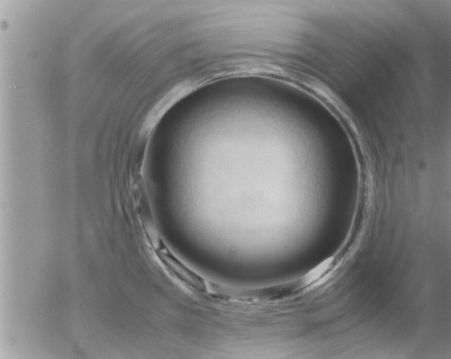 X0000053091385200508012021