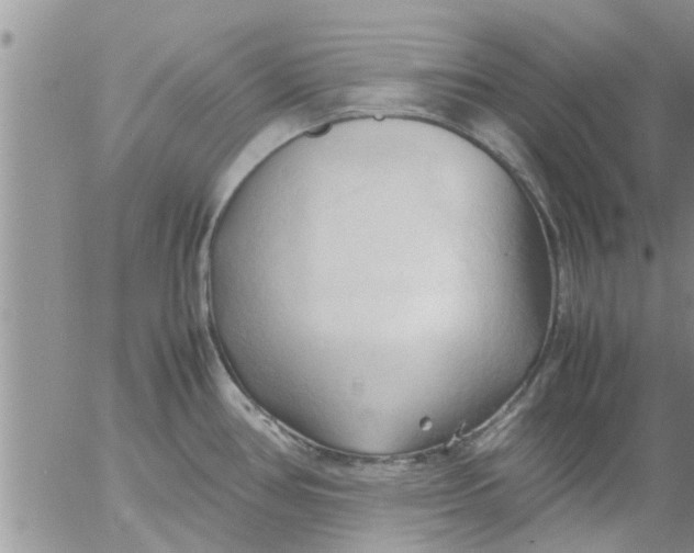 X0000053091386200508012021