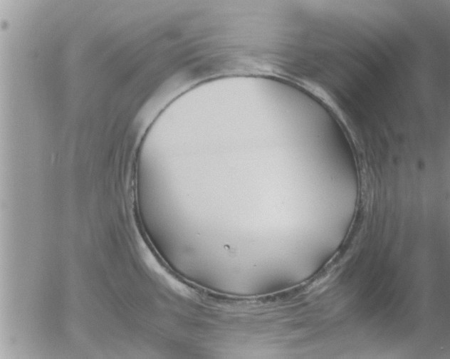 X0000053091387200508012021