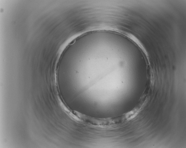 X0000053091388200508012021