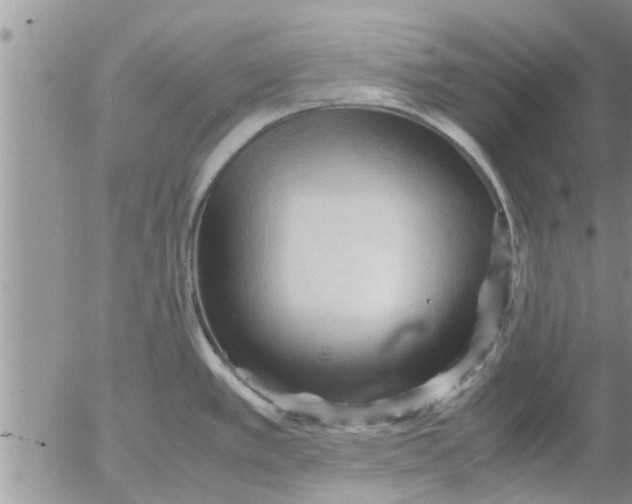 X0000053091389200508012021