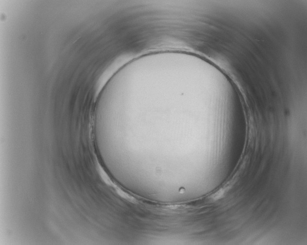 X0000053091390200508012021