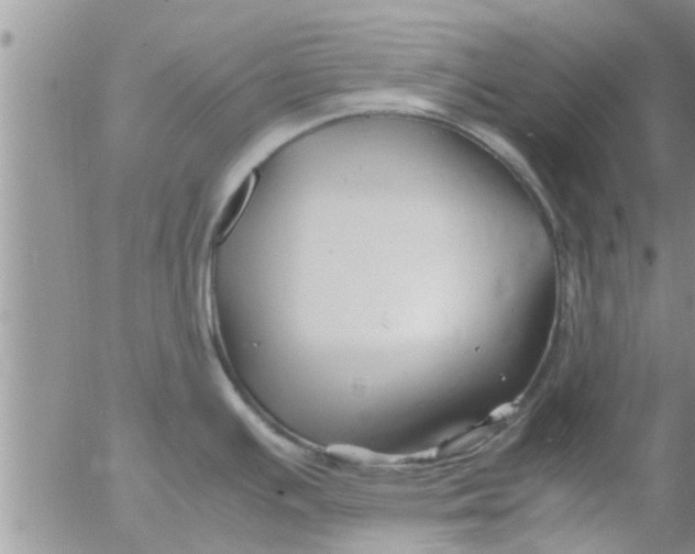 X0000053091391200508012021