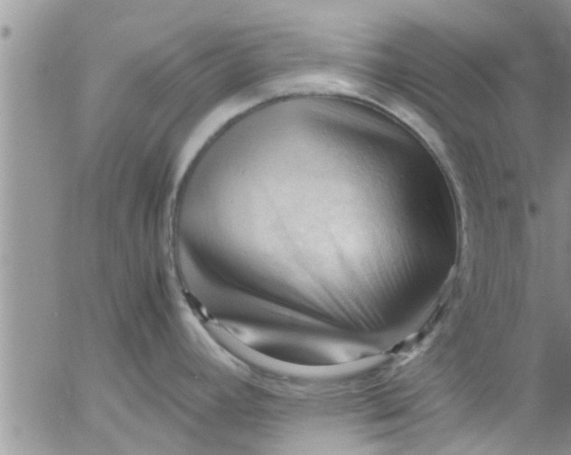 X0000053091392200508012021