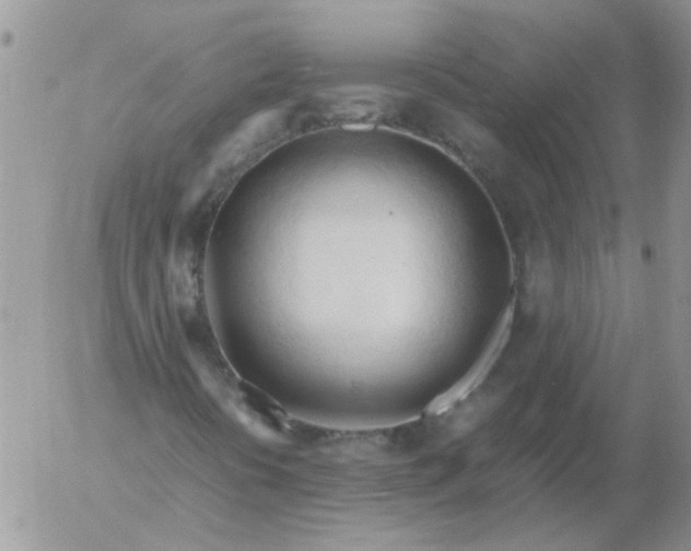 X0000053091394200508012020