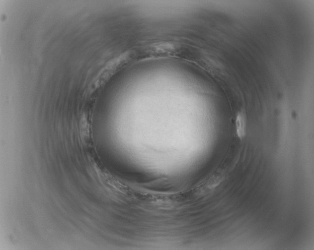 X0000053091395200508012020