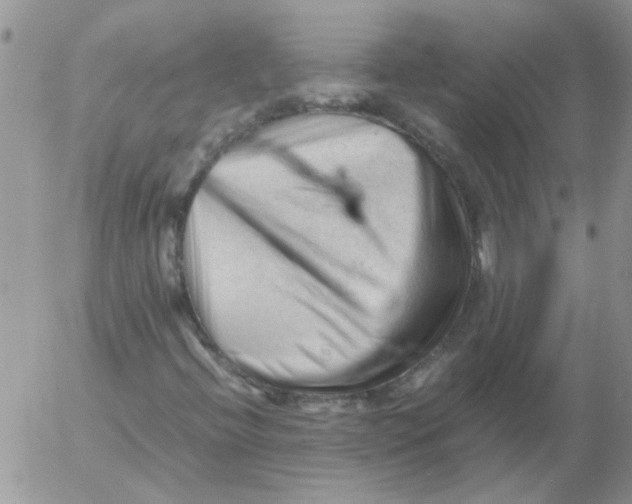 X0000053091396200508012020